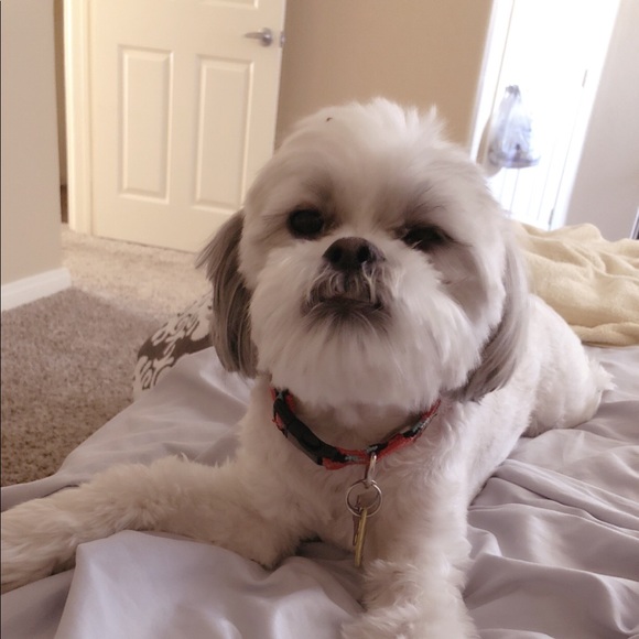 Meet your Posher, Monica - Picture 1 of 1